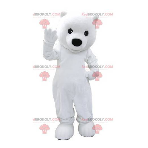 Mascotte ijsbeer. Mascotte ijsbeer - Redbrokoly.com