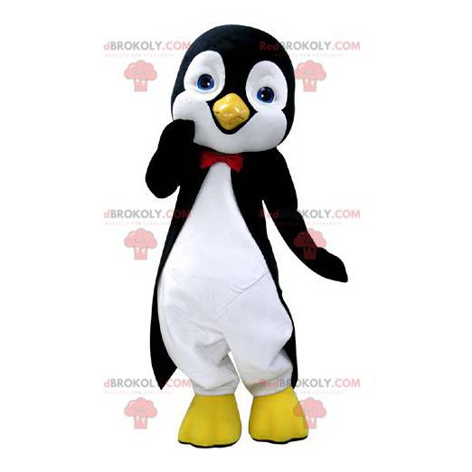 Mascote pinguim preto e branco com lindos olhos azuis -