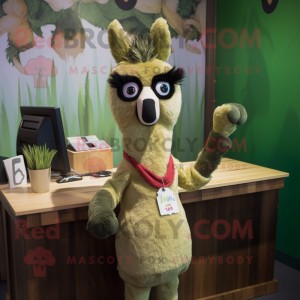 Olive Llama mascotte...