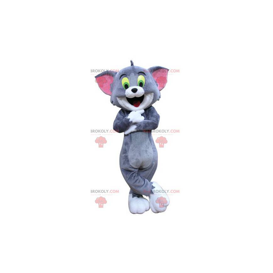 Tom the famous cat mascot from the cartoon Tom and Jerry -