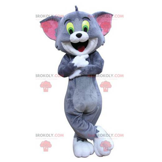 Tom the famous cat mascot from the cartoon Tom and Jerry -