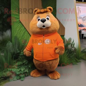 Orange Beaver mascotte...