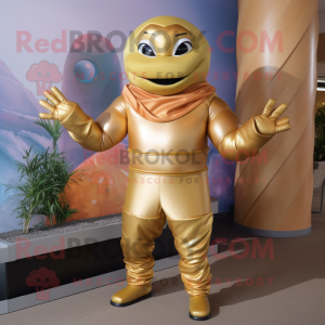 Gold Acrobat maskot drakt...