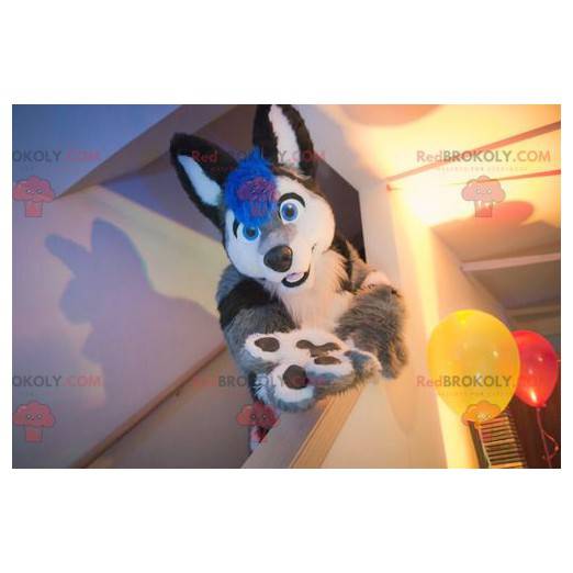 Kat maskot grå sort hvid og blå hund - Redbrokoly.com