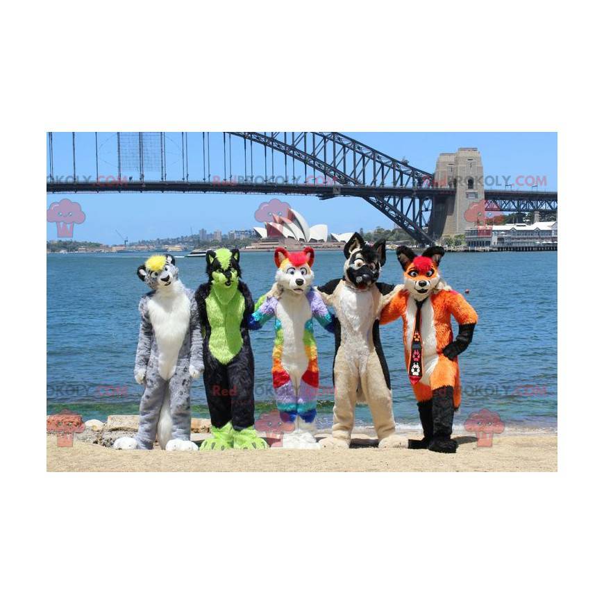 5 mascottes de félins de chiens colorés - Redbrokoly.com