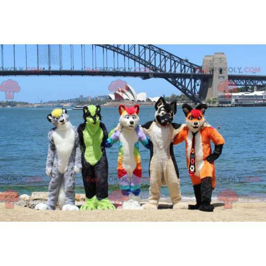 5 kleurrijke hond katachtige mascottes - Redbrokoly.com