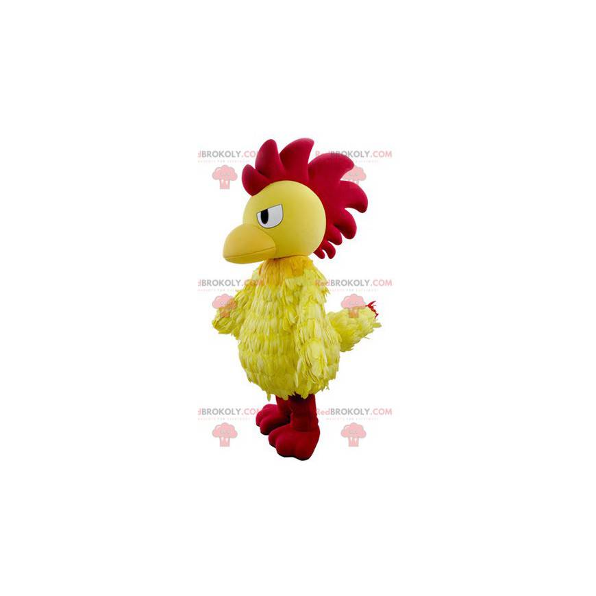 Mascota de gallo amarillo y rojo que parece feroz -