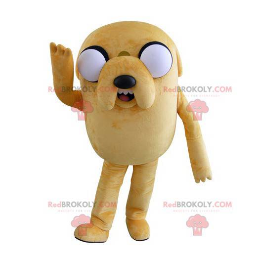 Duży żółty pies maskotka wyglądający paskudnie z dużymi oczami
