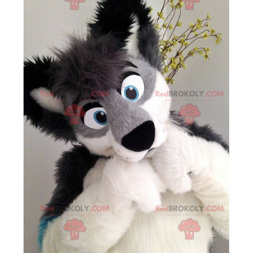 Mascotte cane peloso grigio nero e blu - Redbrokoly.com