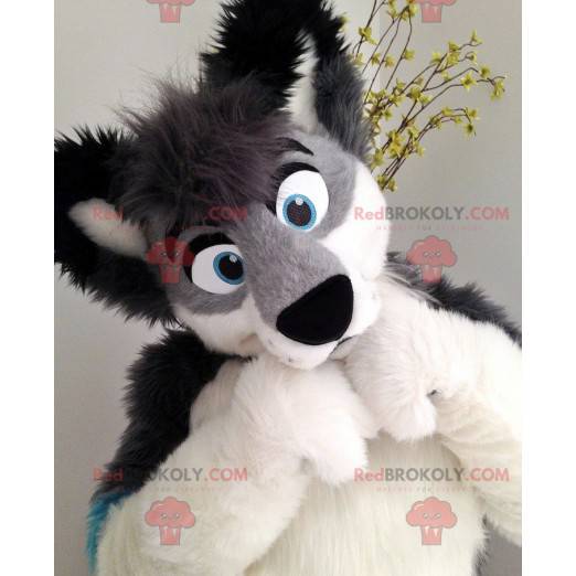 Mascotte grijs zwart en blauw harige hond - Redbrokoly.com