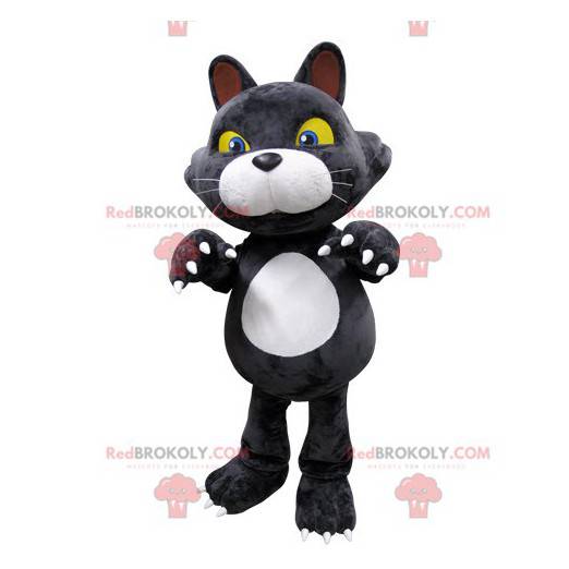 Grå och vit kattmaskot med gula ögon - Redbrokoly.com