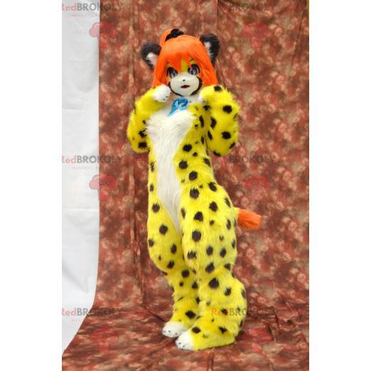 Mascota gato amarillo manchado con pelo naranja - Redbrokoly.com