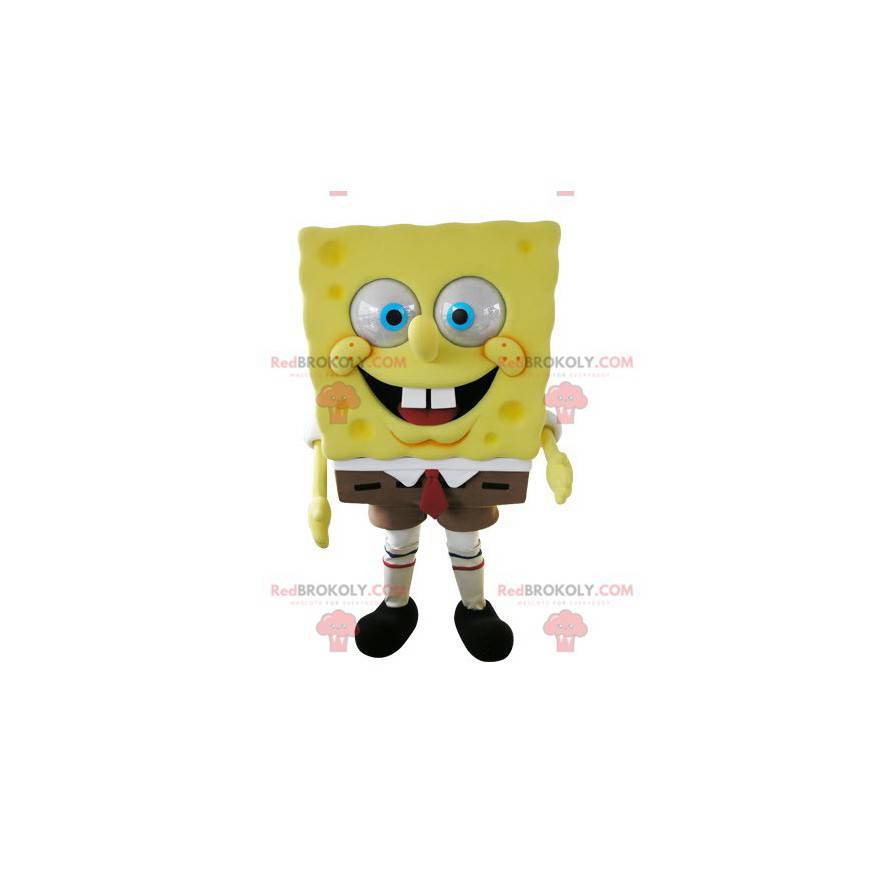 Mascot SpongeBob famoso personaggio dei cartoni animati - Mascot SpongeBob famoso personaggio dei cartoni animati -