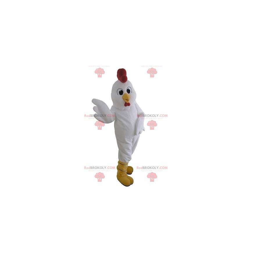 Mascotte de poule blanche géante. Mascotte de coq -