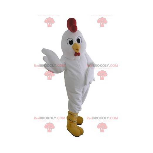 Mascotte de poule blanche géante. Mascotte de coq -