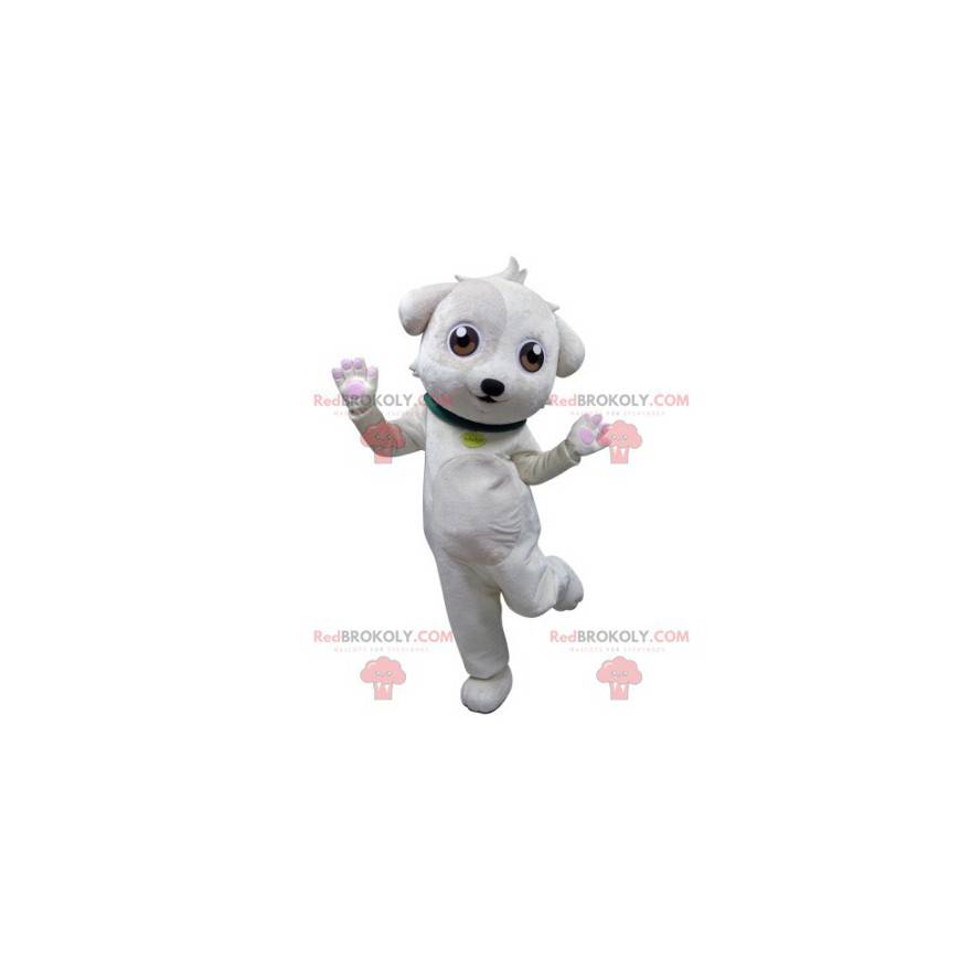 Mascota perro blanco con collar verde - Redbrokoly.com