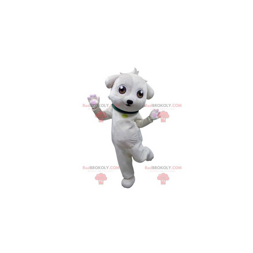White dog mascot with a green collar - Redbrokoly.com