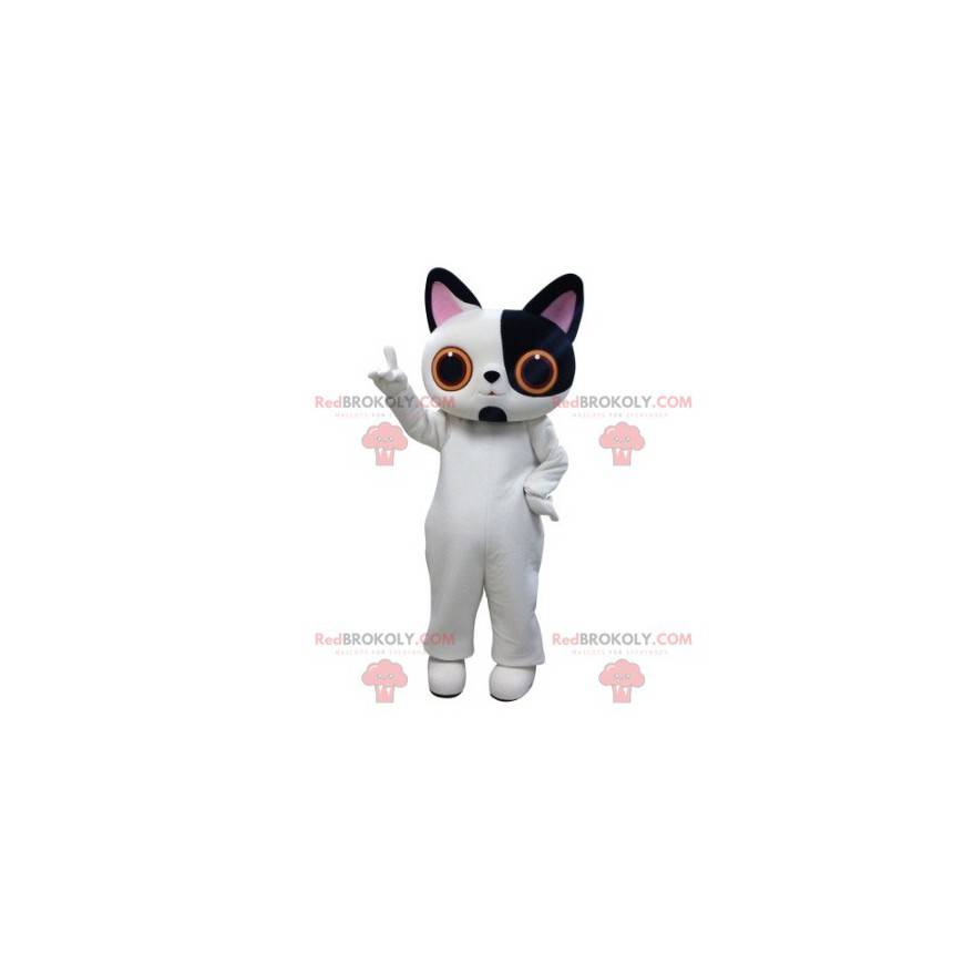 Mascote gato branco e preto com olhos grandes - Redbrokoly.com