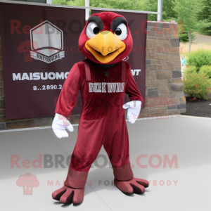 Maroon Hawk mascotte...