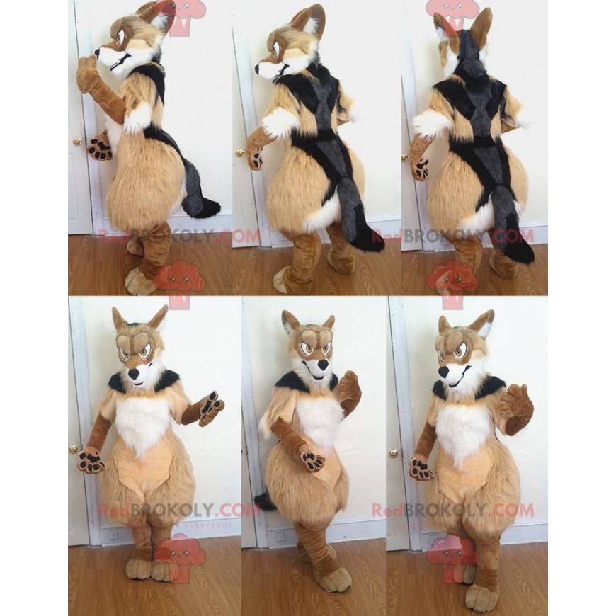 Trikolorní chlupatý pes maskot - Redbrokoly.com Trikolorní chlupatý pes maskot - Redbrokoly.com