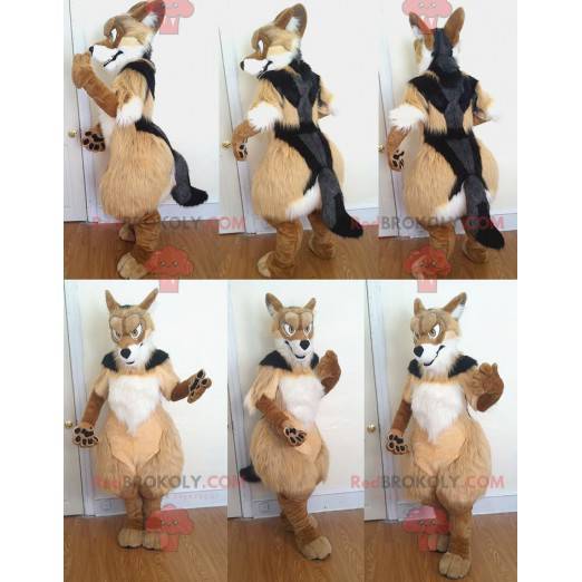 Driekleurige harige hond mascotte - Redbrokoly.com