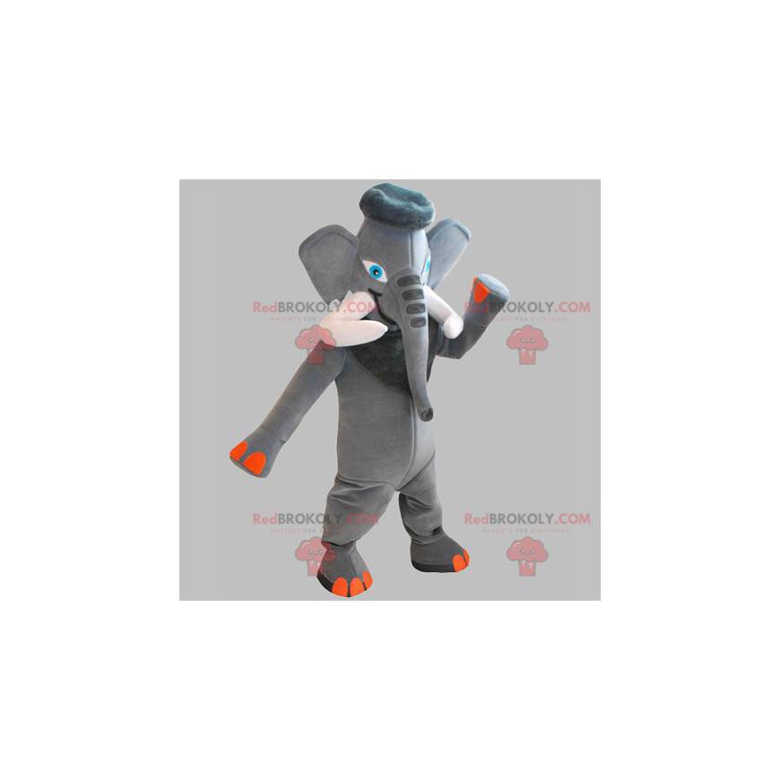 Gray and orange elephant mascot with large tusks -