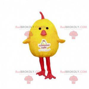 Mascota de pollito pájaro amarillo y rojo regordeta y linda -