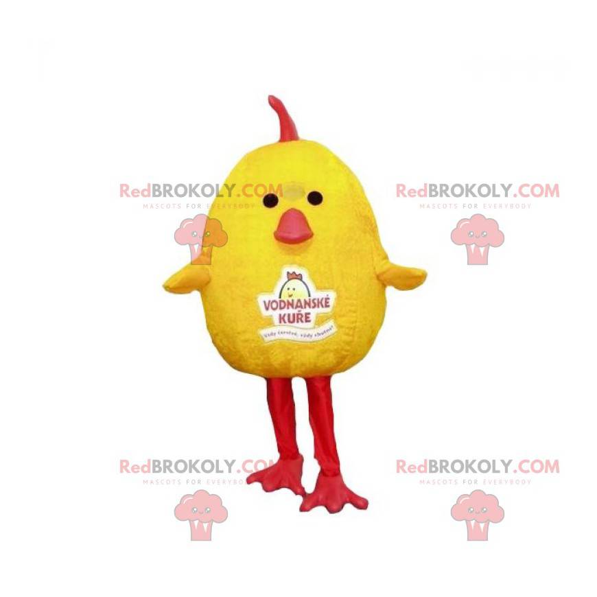 Baculatý a roztomilý žlutý a červený pták kuřátko maskot -