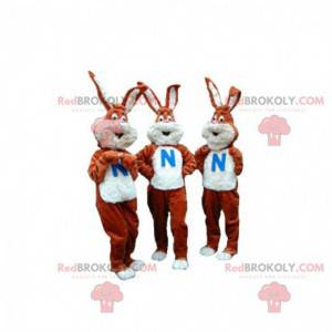 3 mascots of brown and white rabbits. Set of 3 mascots -