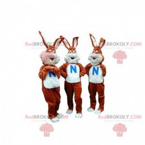 3 mascotte di conigli marroni e bianchi. Set di 3 mascotte -