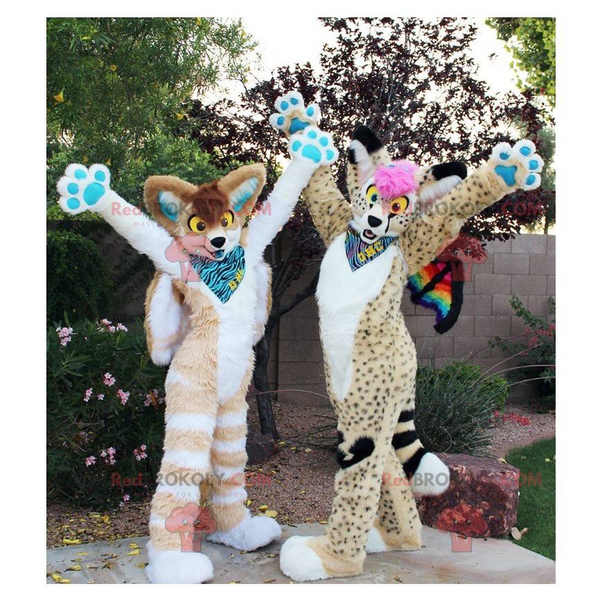 2 beautiful and colorful feline mascots - Redbrokoly.com