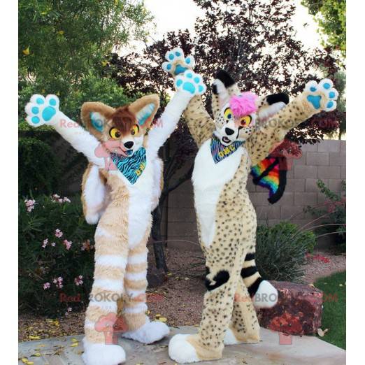 2 mascotes felinos lindos e coloridos - Redbrokoly.com