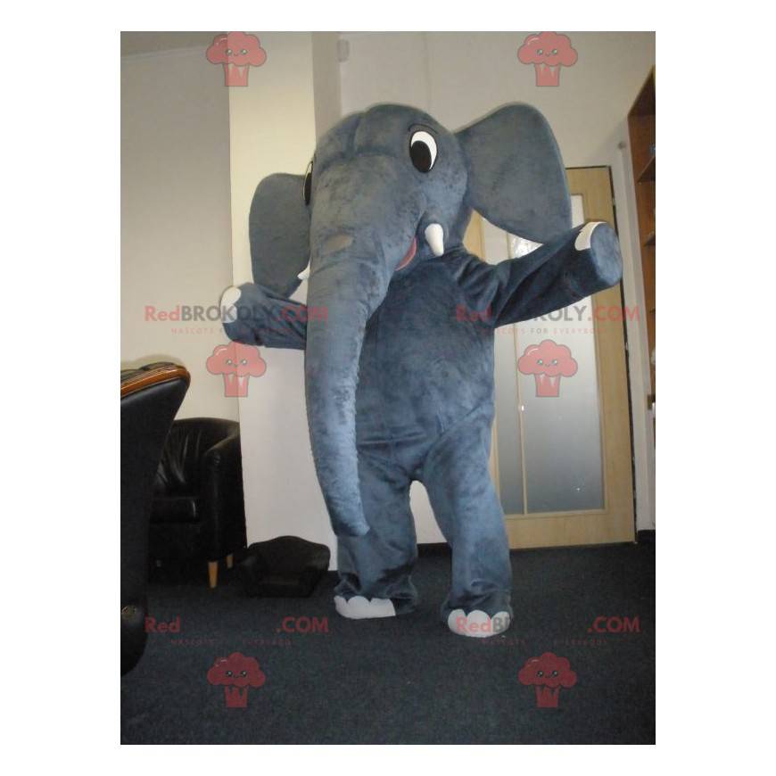 Mascota elefante gris muy lindo - Redbrokoly.com