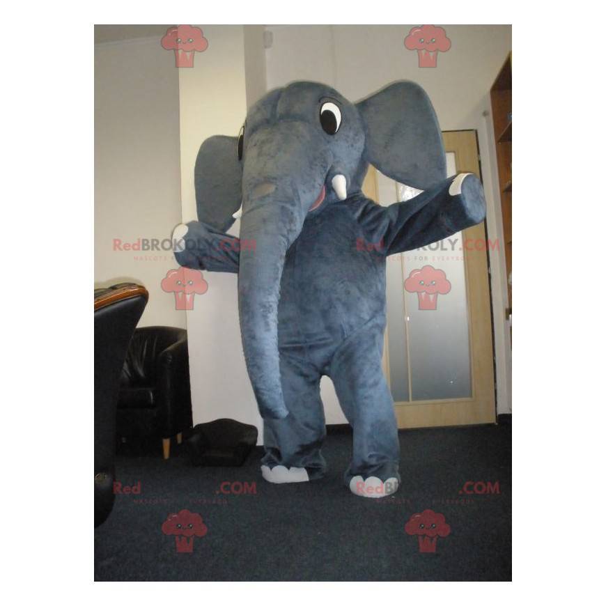 Meget sød grå elefant maskot - Redbrokoly.com
