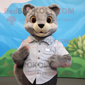 Silver Jaguarundi mascot costume character dressed with a Poplin Shirt and Cummerbunds