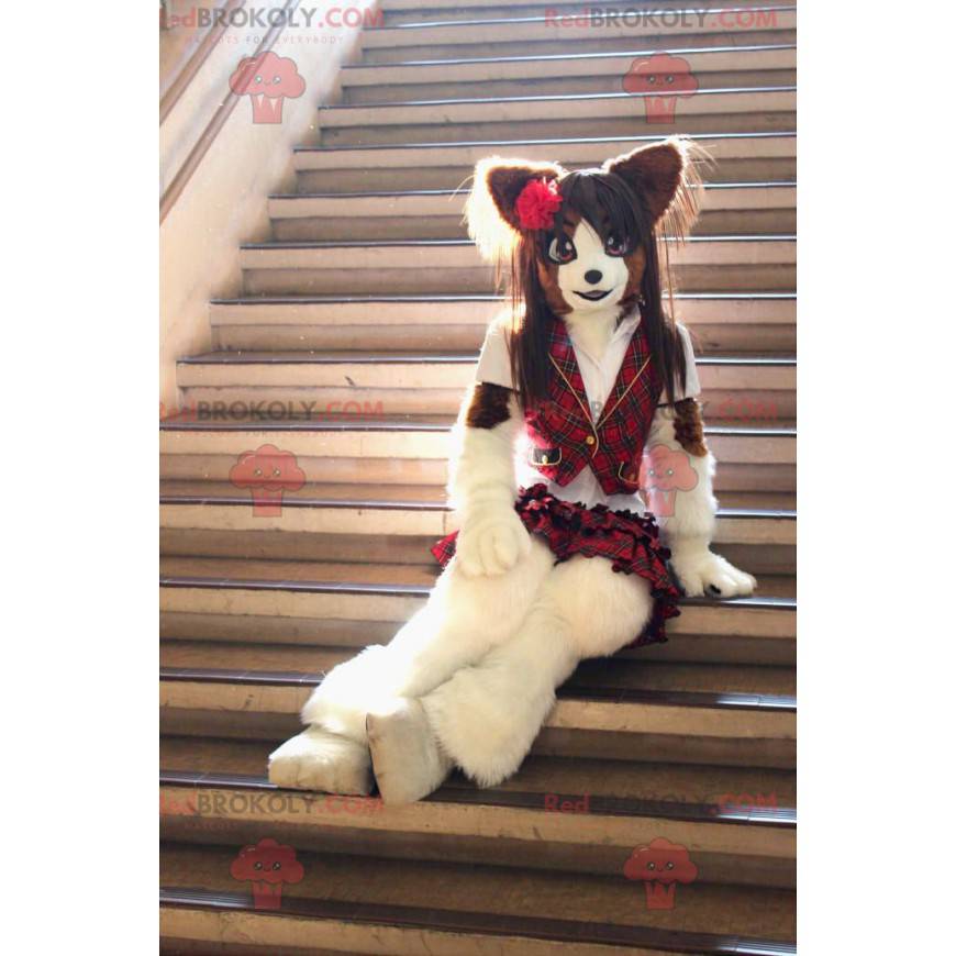 Mascota gato bonita vestida con una falda escocesa - Mascota gato bonita vestida con una falda escocesa -