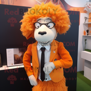 Oransje Merino sau maskot...