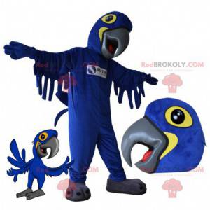 Mascotte pappagallo blu e giallo. Mascotte dell'uccello -