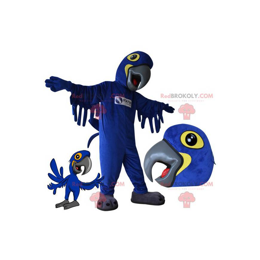 Mascotte pappagallo blu e giallo. Mascotte dell'uccello -