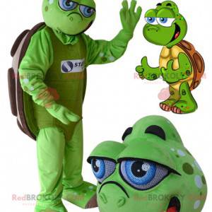 Mascote tartaruga verde e marrom com olhos azuis -