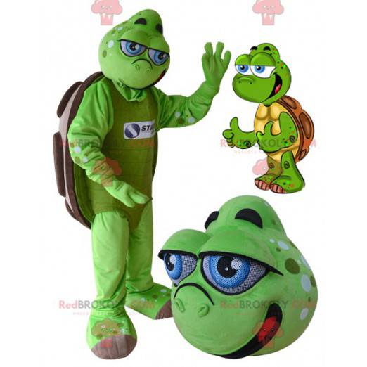 Grøn og brun skildpadde maskot med blå øjne - Redbrokoly.com