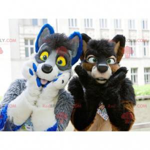 2 furry and colorful dog mascots - Redbrokoly.com