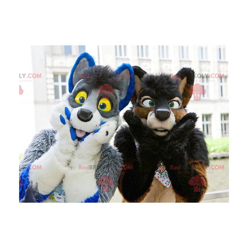 2 pelzige und bunte Hundemaskottchen - Redbrokoly.com 2 pelzige und bunte Hundemaskottchen - Redbrokoly.com