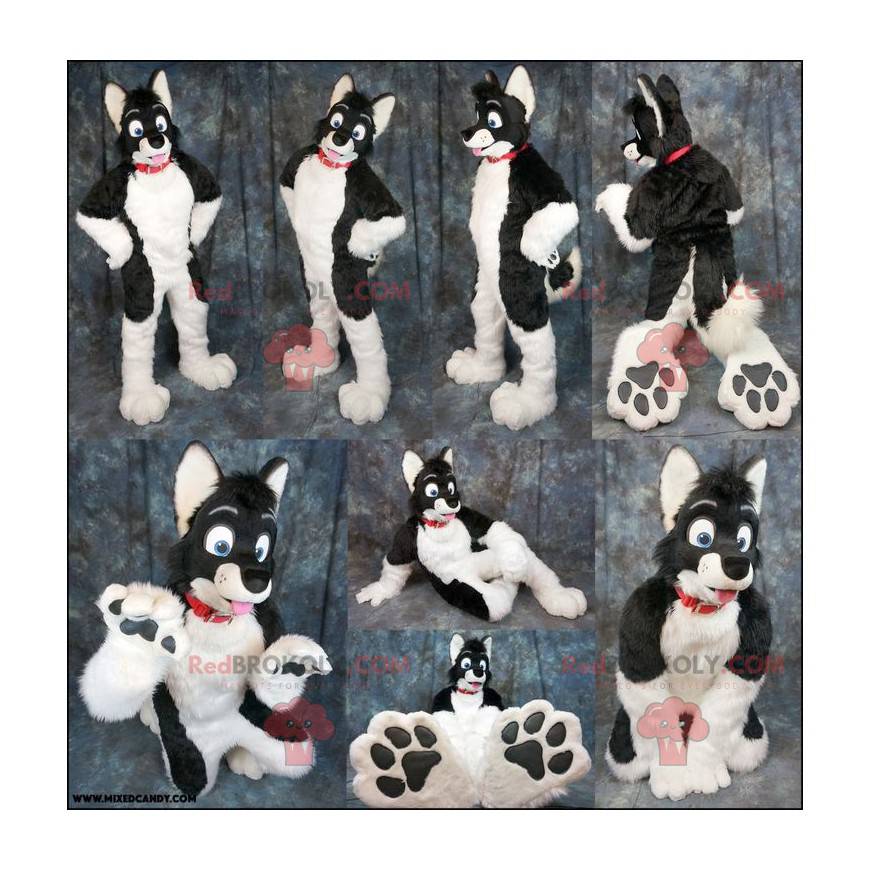 Mascotte de chien noir et blanc - Redbrokoly.com