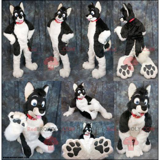 Mascote cachorro preto e branco - Redbrokoly.com