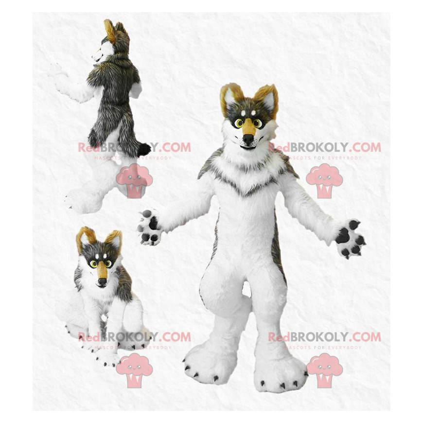 Hairy tricolor dog mascot - Redbrokoly.com