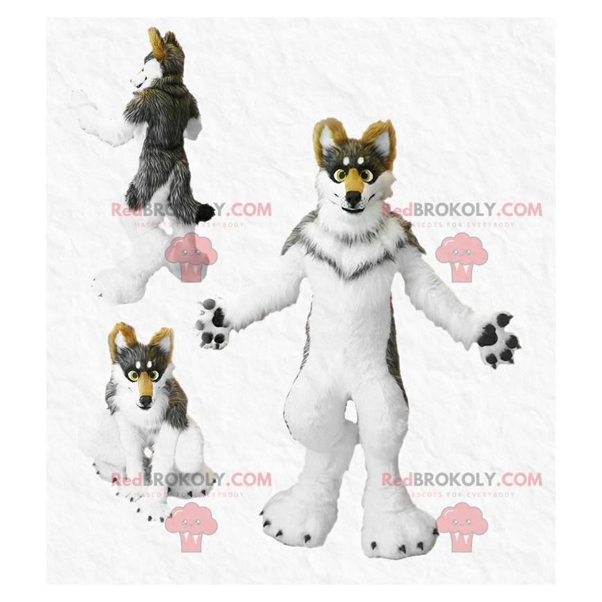 Mascotte de chien tricolore poilu - Redbrokoly.com