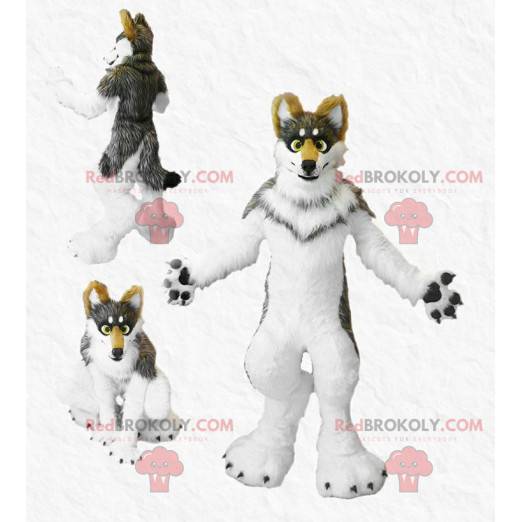 Hårig tricolor hundmaskot - Redbrokoly.com
