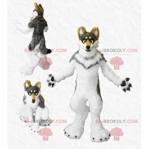 Mascotte harige driekleurige hond - Redbrokoly.com