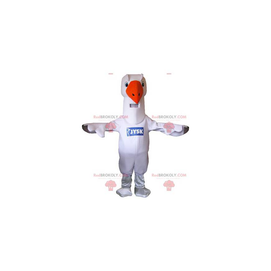 Albatross gull mascot - Redbrokoly.com Albatross gull mascot - Redbrokoly.com